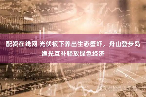 配资在线网 光伏板下养出生态蟹虾，舟山登步岛渔光互补释放绿色经济