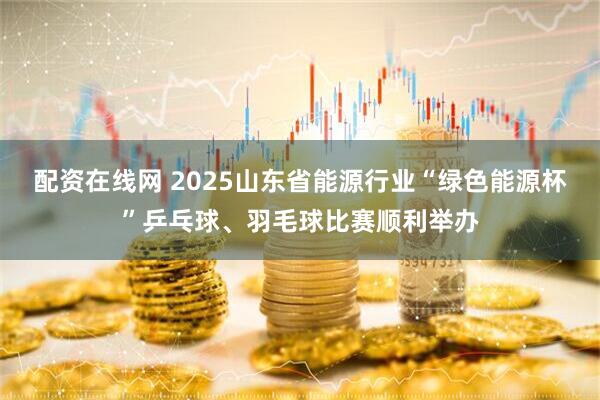 配资在线网 2025山东省能源行业“绿色能源杯”乒乓球、羽毛球比赛顺利举办