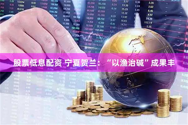 股票低息配资 宁夏贺兰：“以渔治碱”成果丰