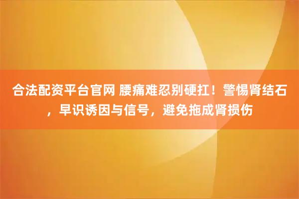 合法配资平台官网 腰痛难忍别硬扛！警惕肾结石，早识诱因与信号，避免拖成肾损伤