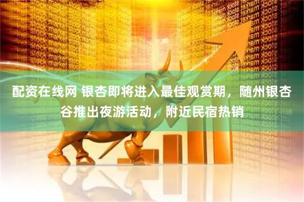 配资在线网 银杏即将进入最佳观赏期，随州银杏谷推出夜游活动，附近民宿热销
