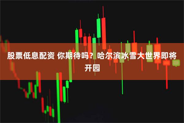 股票低息配资 你期待吗？哈尔滨冰雪大世界即将开园