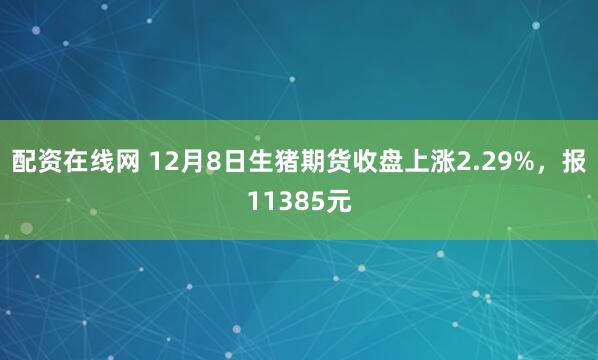 配资在线网 12月8日生猪期货收盘上涨2.29%，报11385元