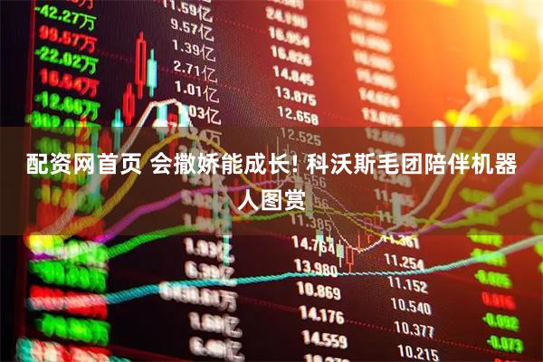 配资网首页 会撒娇能成长! 科沃斯毛团陪伴机器人图赏