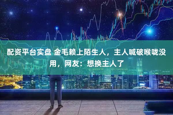 配资平台实盘 金毛赖上陌生人，主人喊破喉咙没用，网友：想换主人了