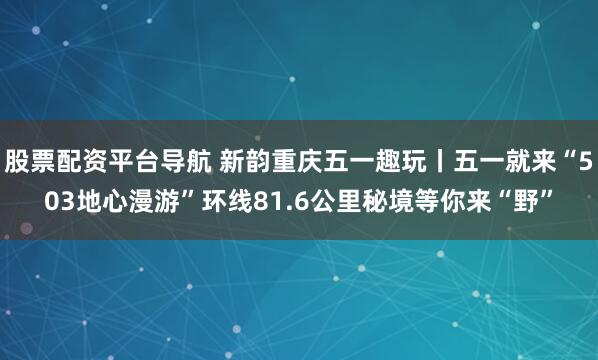 股票配资平台导航 新韵重庆五一趣玩丨五一就来“503地心漫游”环线81.6公里秘境等你来“野”